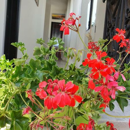 Bed and Breakfast Il Casale Di Zi'Leo Campomarino  Exterior foto