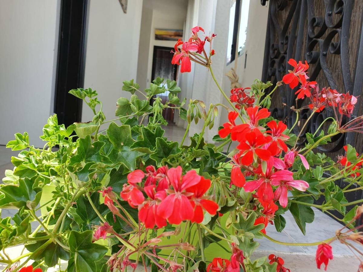 Bed and Breakfast Il Casale Di Zi'Leo Campomarino  Exterior foto