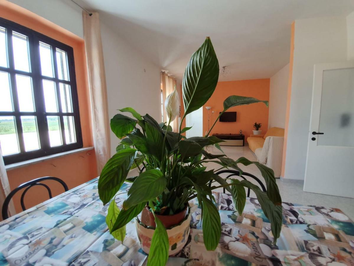 Bed and Breakfast Il Casale Di Zi'Leo Campomarino  Exterior foto